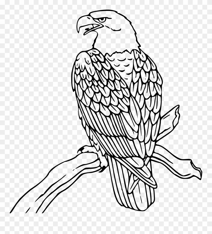 Clipart Free Download Free Eagle Clipart Eagles - Clip Art Black And White Eagle - Png Download