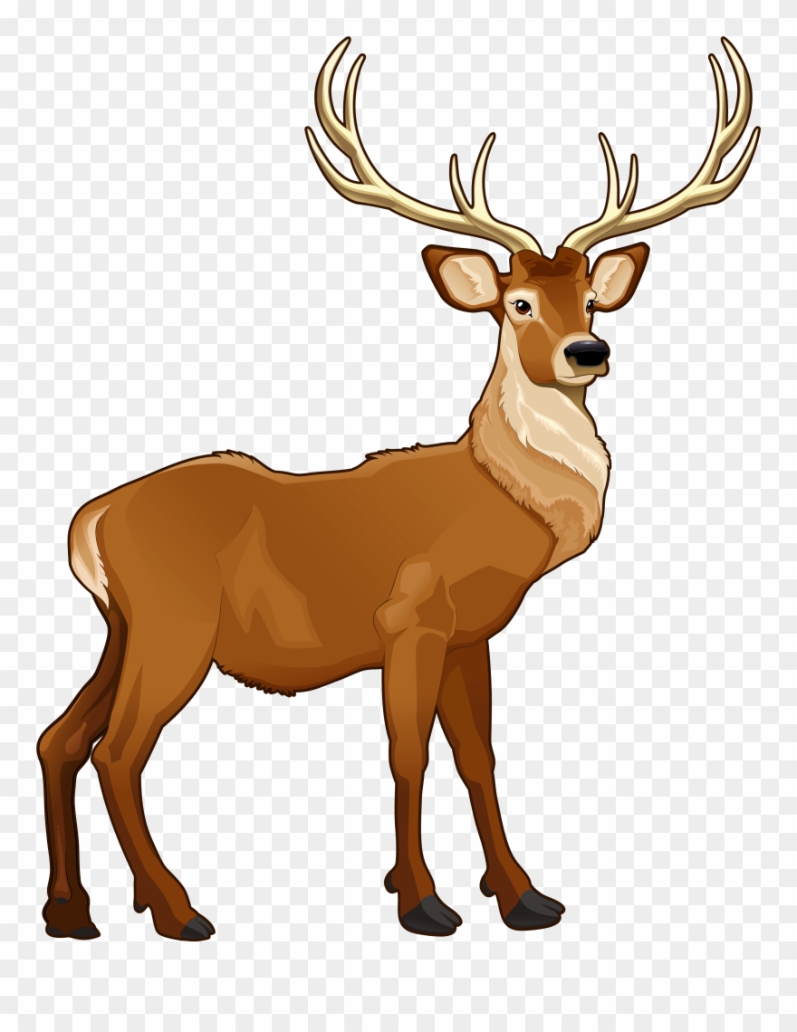 Free Reindeer Clipart The Cliparts - Png Download