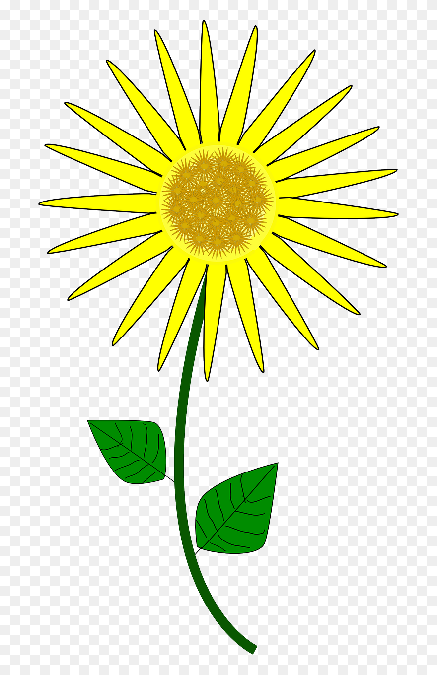 Sunflower Clip Art Free Clipart To Use Resource - Animated Sunflower Cartoon Png Transparent Png