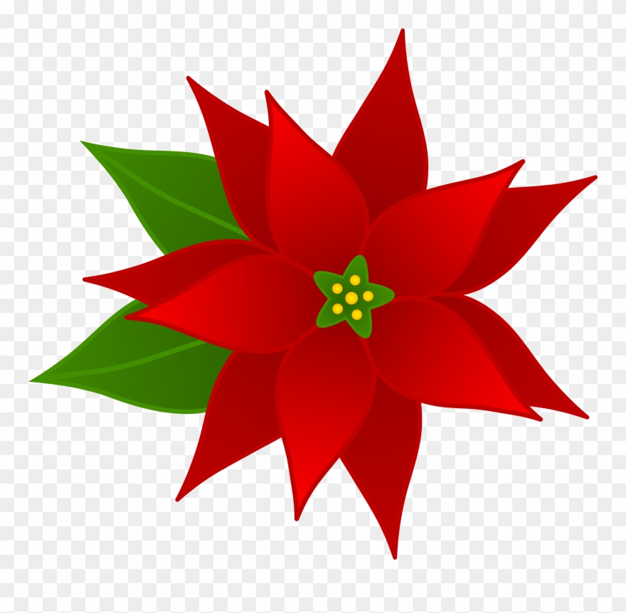 Flowers Clip Art Many Flowers Free Christian Word Clip - Poinsettia Flower Clip Art - Png Download