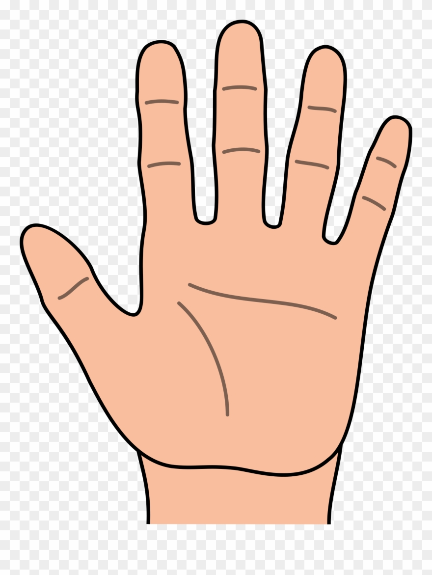 Hands Clipart - Hand Clipart - Png Download