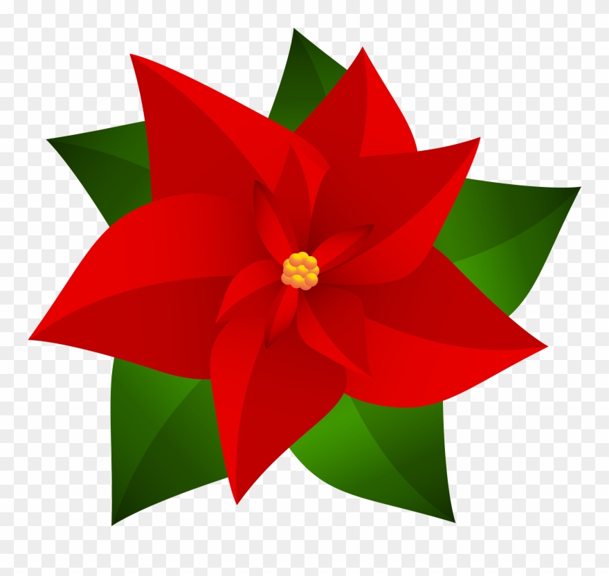 Svg Clipart Poinsettia - Png Download
