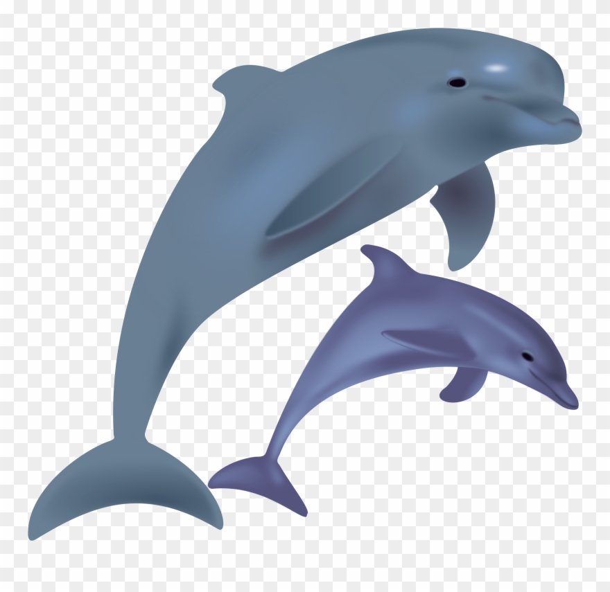 Dolphins Clip Art At Clker Com Vector Clip Art Online - Dolphins Clipart - Png Download