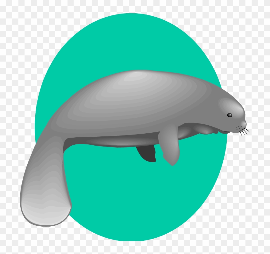 Free Manatee Clipart - Clip Art - Png Download