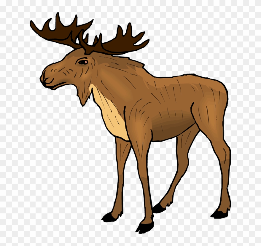 Moose Clipart Cartoon Free Clipart Images - Como Se Dice Alce En Ingles - Png Download
