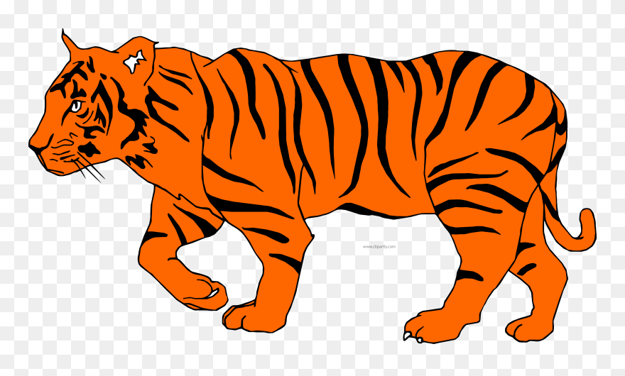 White Tiger Clipart Depauw - Illustration Of A Tiger - Png Download