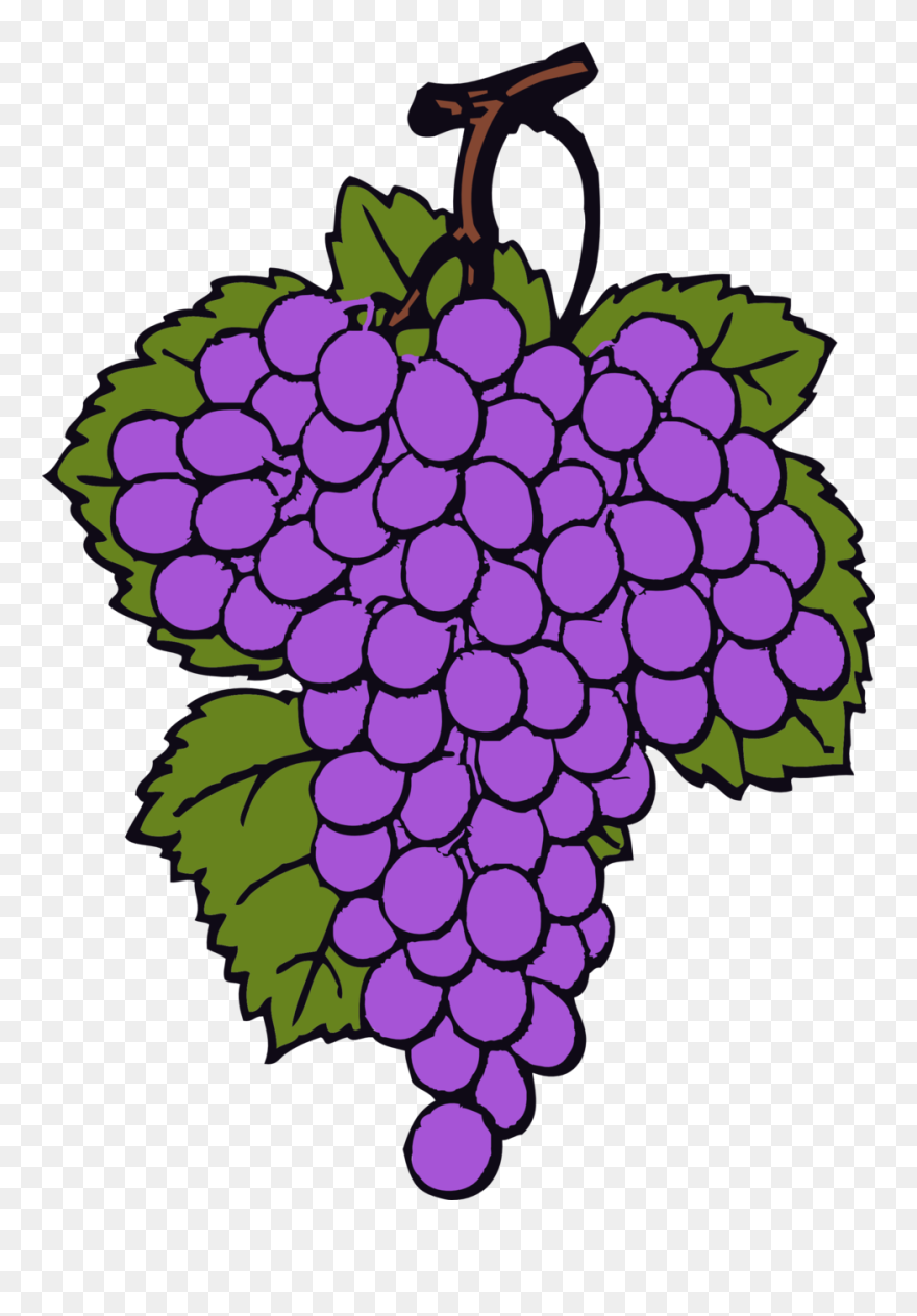 Grape Clipart, Vector Clip Art Online, Royalty Free - Grapes Cliparts - Png Download