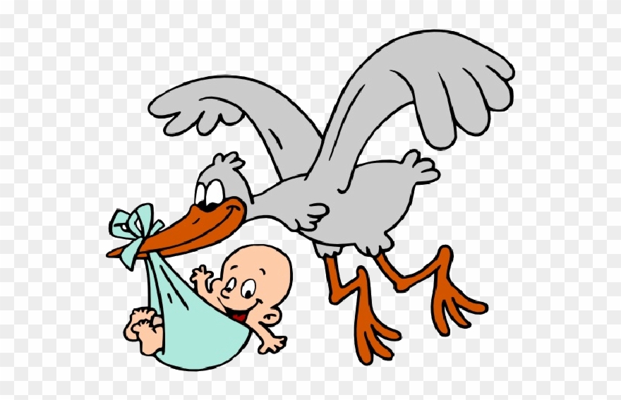 stork carrying baby boy