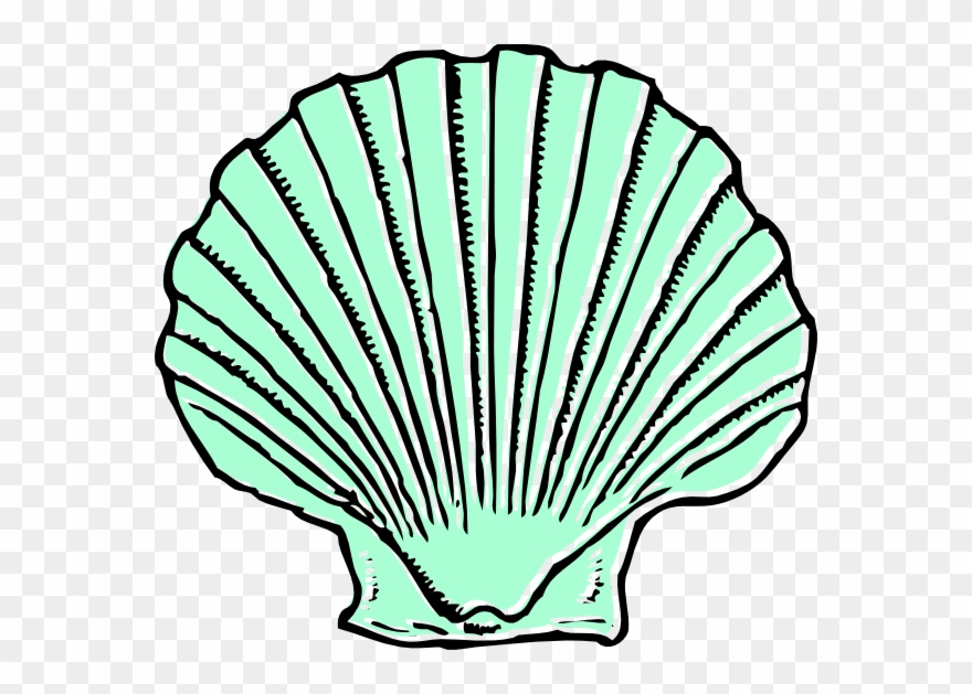 Aqua Seashell Clip Art At Clipart - Shell Clip Art - Png Download
