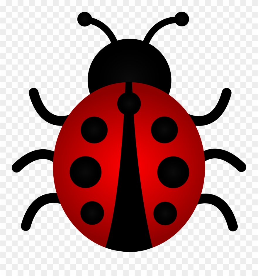 Ladybug Clip Art Border - Леди Баг Божья Коровка - Png Download