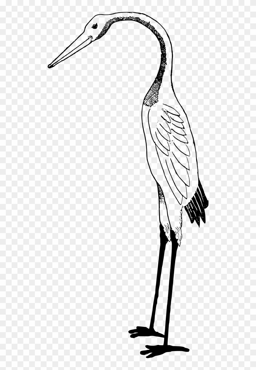 Stork Art - Custom Stork Shower Curtain Clipart