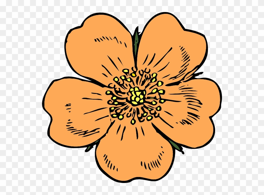 Peach Large Size Clipart Free Clip Art Images - Peach Blossom Clip Art - Png Download