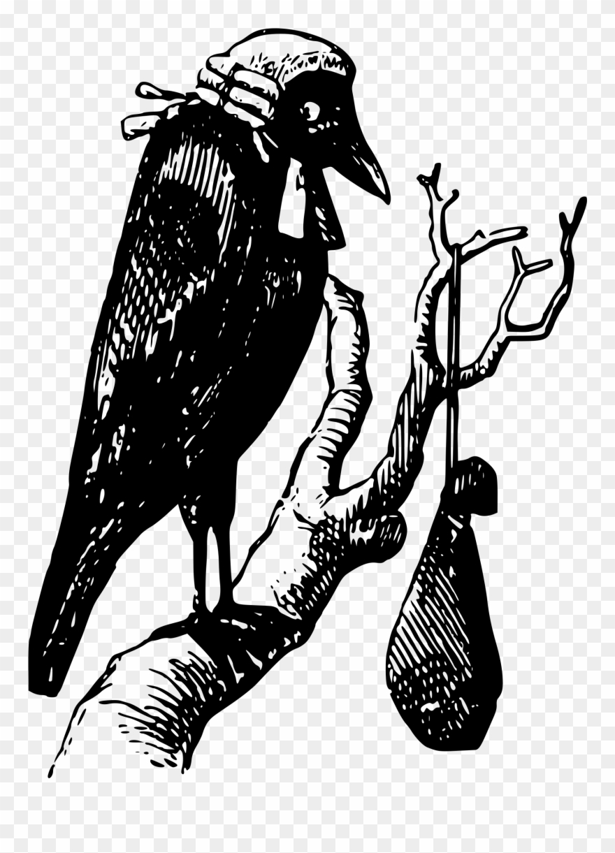 Judge Magistrate Crow Court Public Domain - Crow On Tree Transparent Clipart
