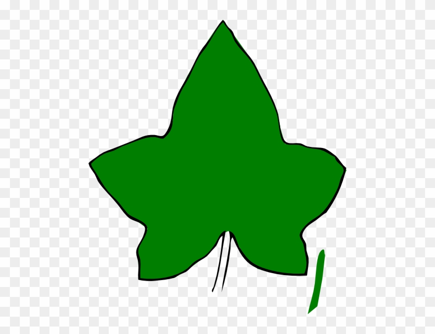 Transparent Ivy Leaf Clipart
