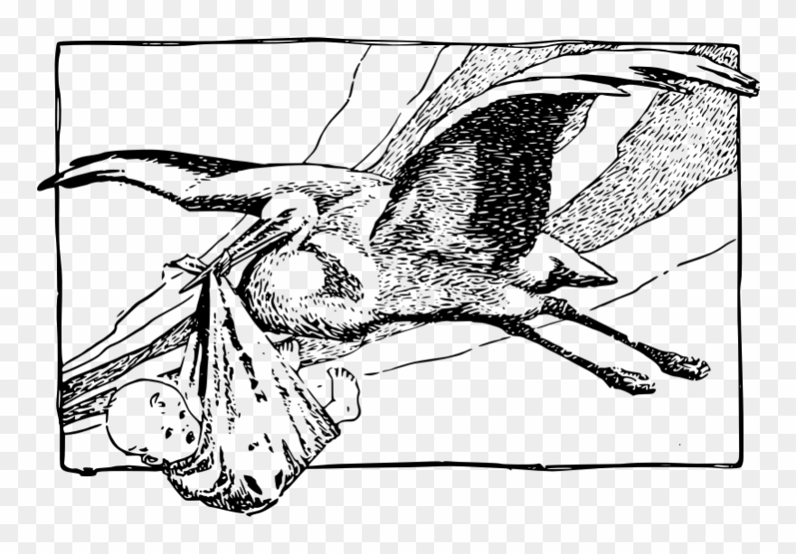 Stork Flying With Baby - Storch Und Baby: Baby-glückwünsche Karte Clipart