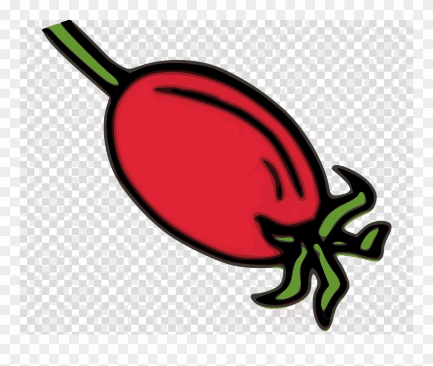 Download Rose Hips Clip Art Clipart Rose Hip Dog-rose - Clock Vector Transparent - Png Download