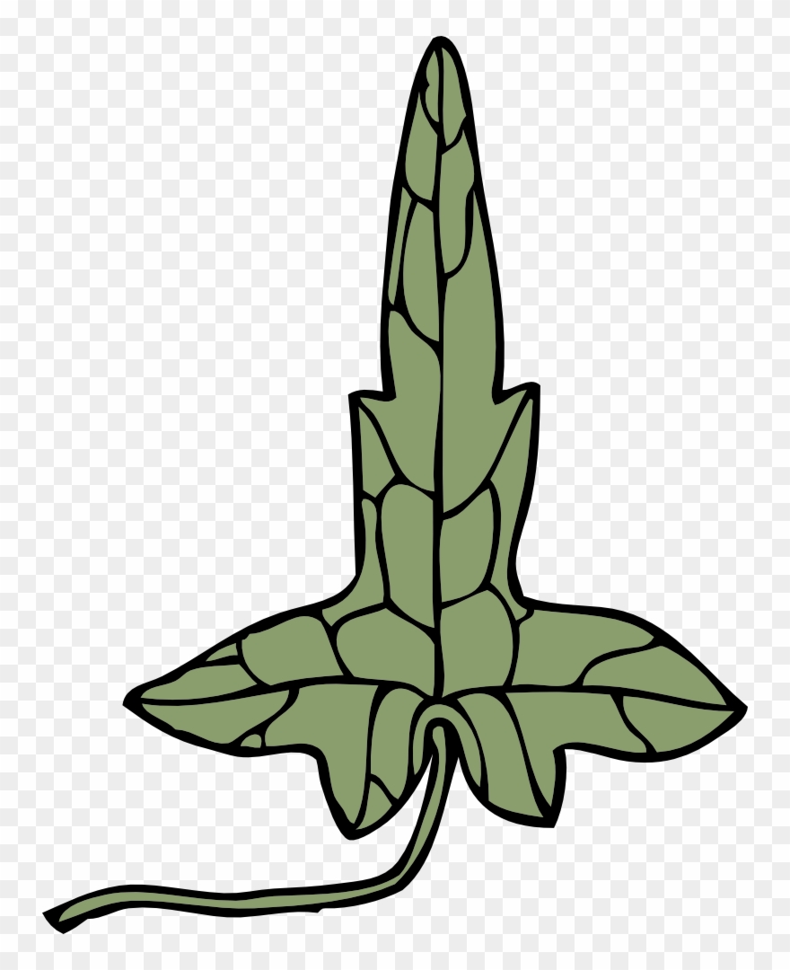 Download Drawing Graphic Arts Computer - Clip Art - Png Download