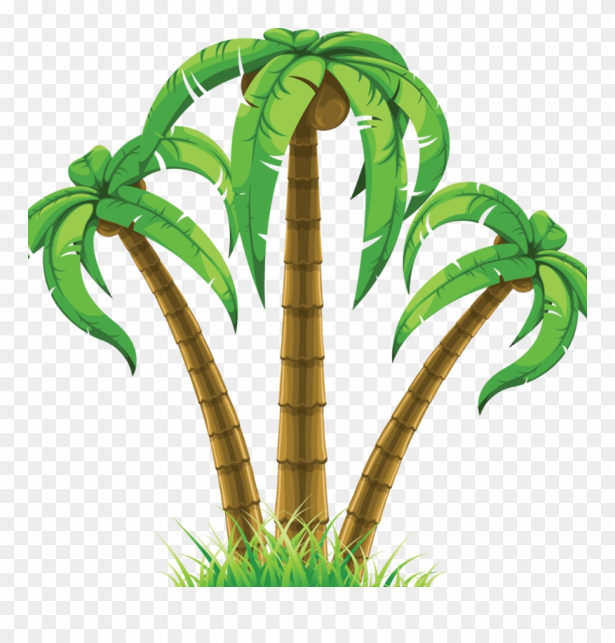 Tree Clip Art Flower - Dibujo De Una Palmera - Png Download