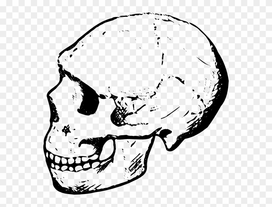 Skull Clip Art - Skull Clipart Black And White - Png Download