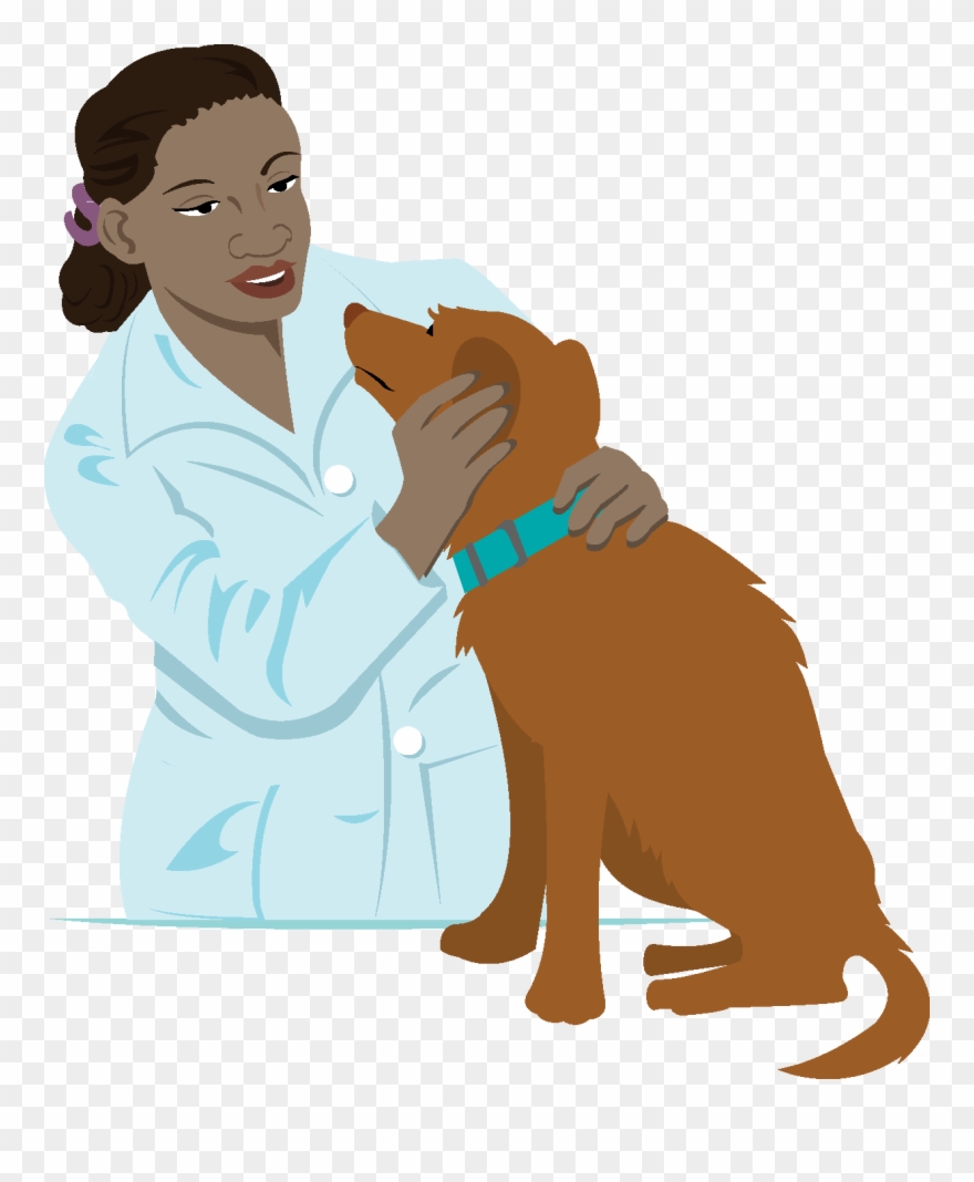 People Occupations Veterinarian - Vet Clipart Png Transparent Png