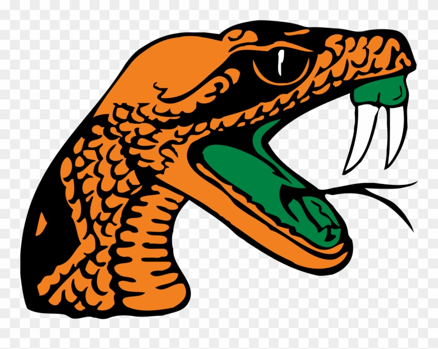 Florida A&m University Rattlers 12x12 Die-cut Vinyl Clipart