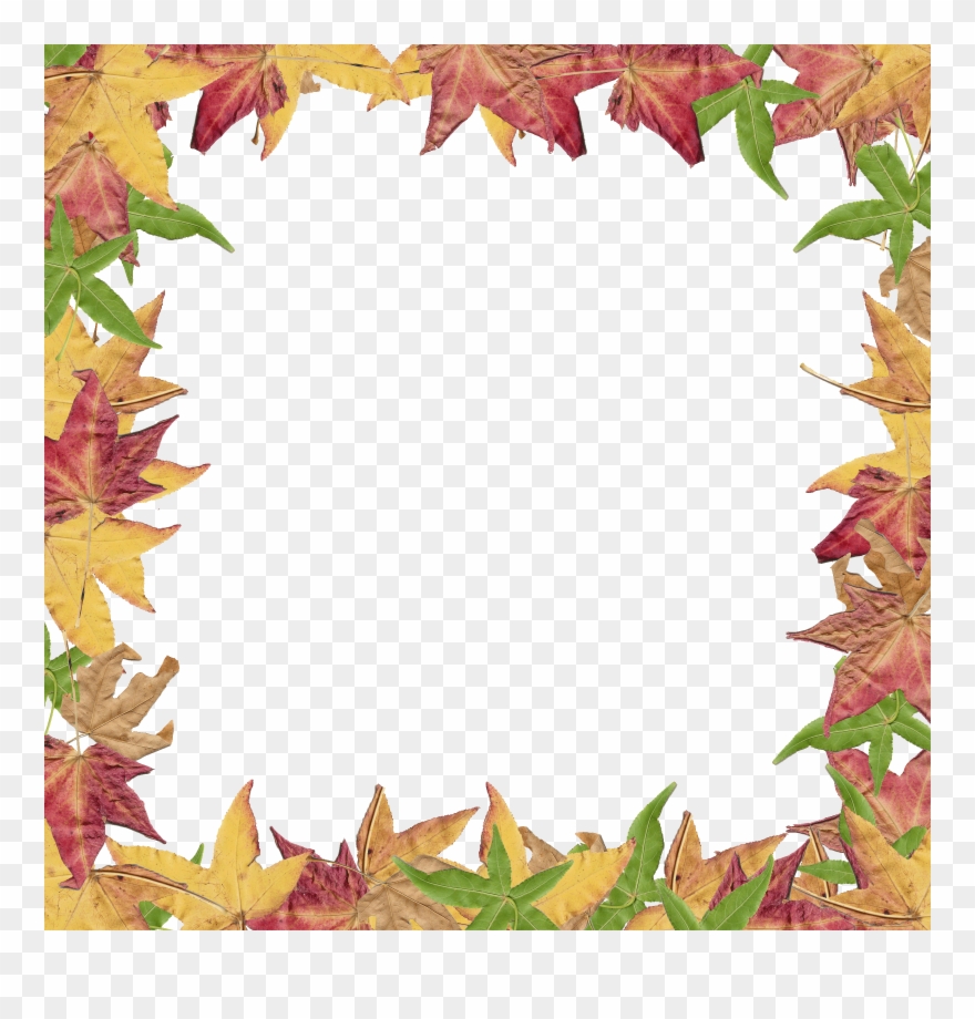 Fall Leaves Border Panda Free Images Fallborderclipart - Creative Border For Project - Png Download