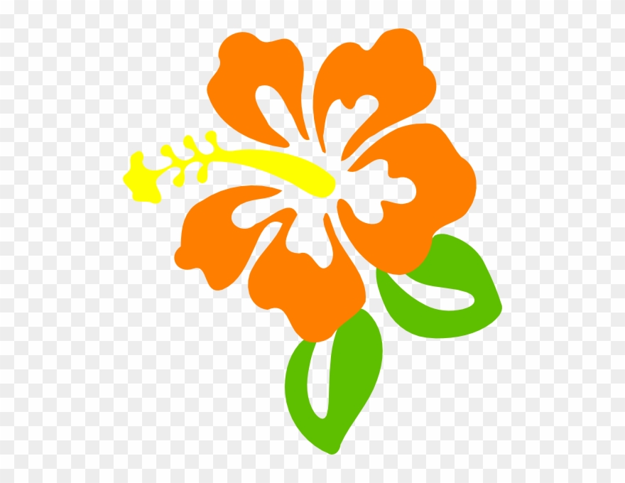 Orange Flower Clipart - Flor De Hibisco Desenho - Png Download