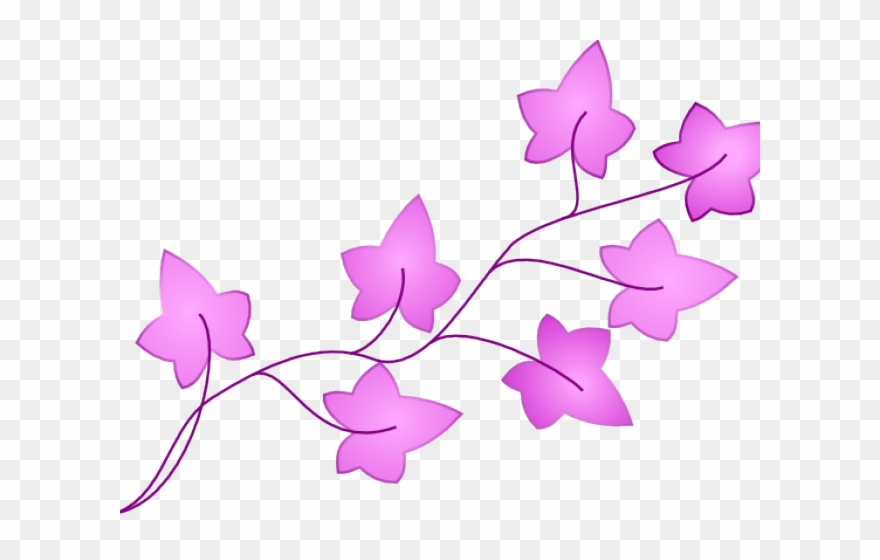 Ivy Clipart Pretty - Ivy Leaf Cartoon - Png Download
