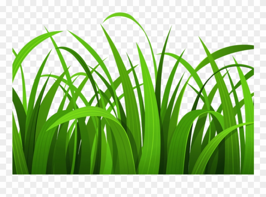 Grass Pictures Clip Art Clipart Image Clipartix Pertaining - Grass Clipart - Png Download