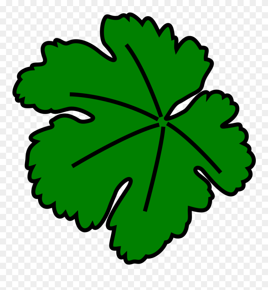 Vine-leaf Clip Art - Leaf Clip Art - Png Download