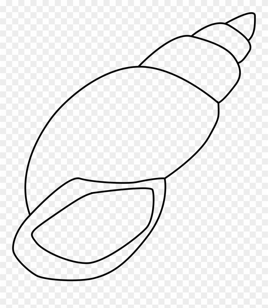 Free Starfish Download Clip - Outline Of A Shell - Png Download