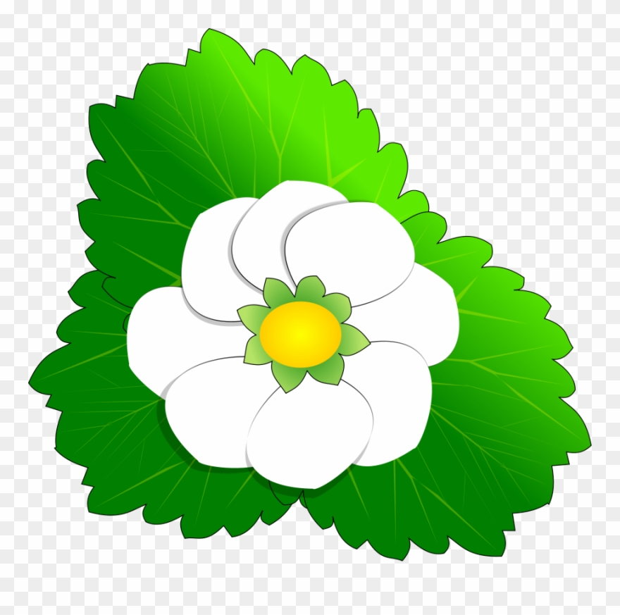 Flower - Flower Clip Art - Png Download