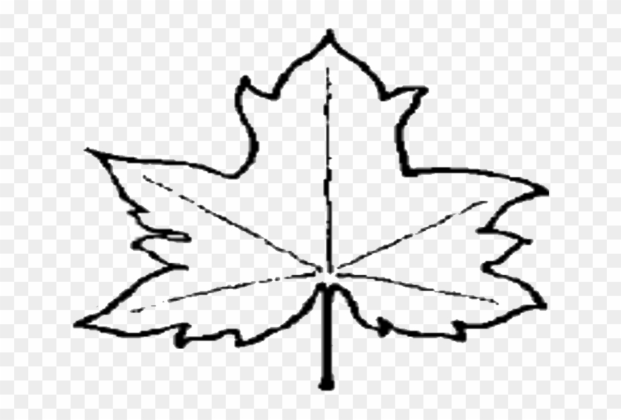 Clip Arts Related To - Leaf Outline Png File Transparent Png