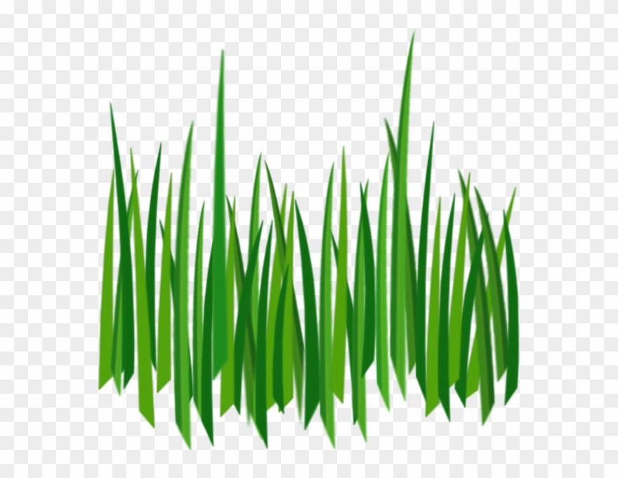 Grass Png Image, Green Grass Png Picture - Cartoon Grass Transparent Background Clipart