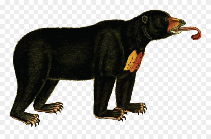 Noahs Ark Clip Art Cute Bible Story Graphics - Sun Bear Clipart - Png Download