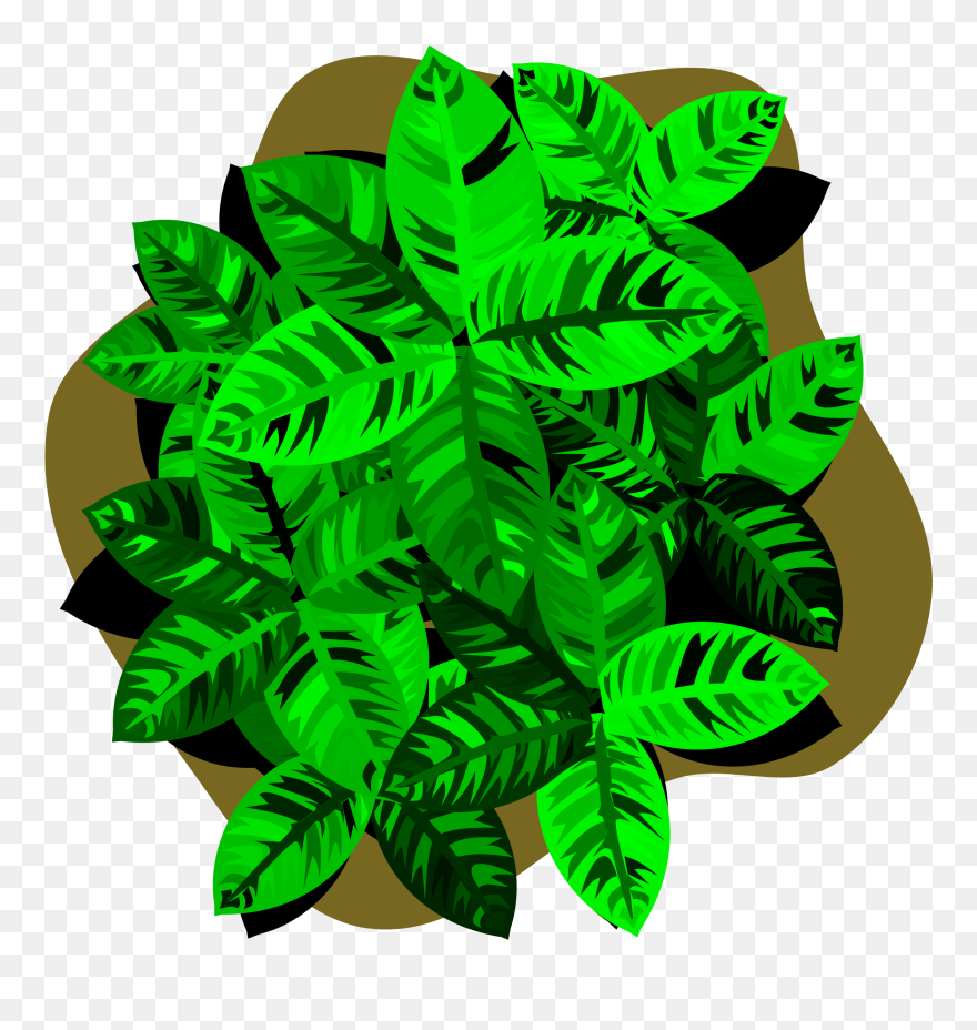 Four-leaf Clover Luck Lawn - Illustration Clipart