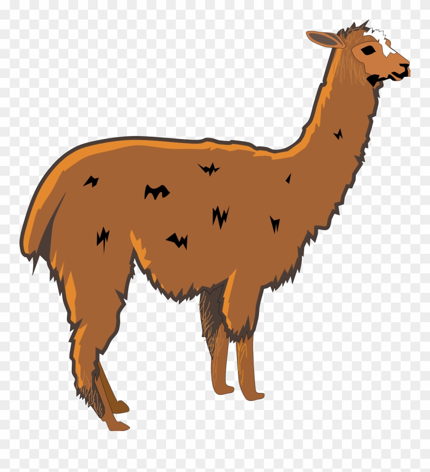 Alpaca Cliparts - Lama Clipart - Png Download
