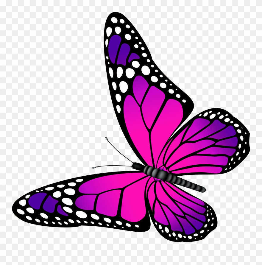 Butterfly Clip Art - Butterfly Pink And Purple - Png Download