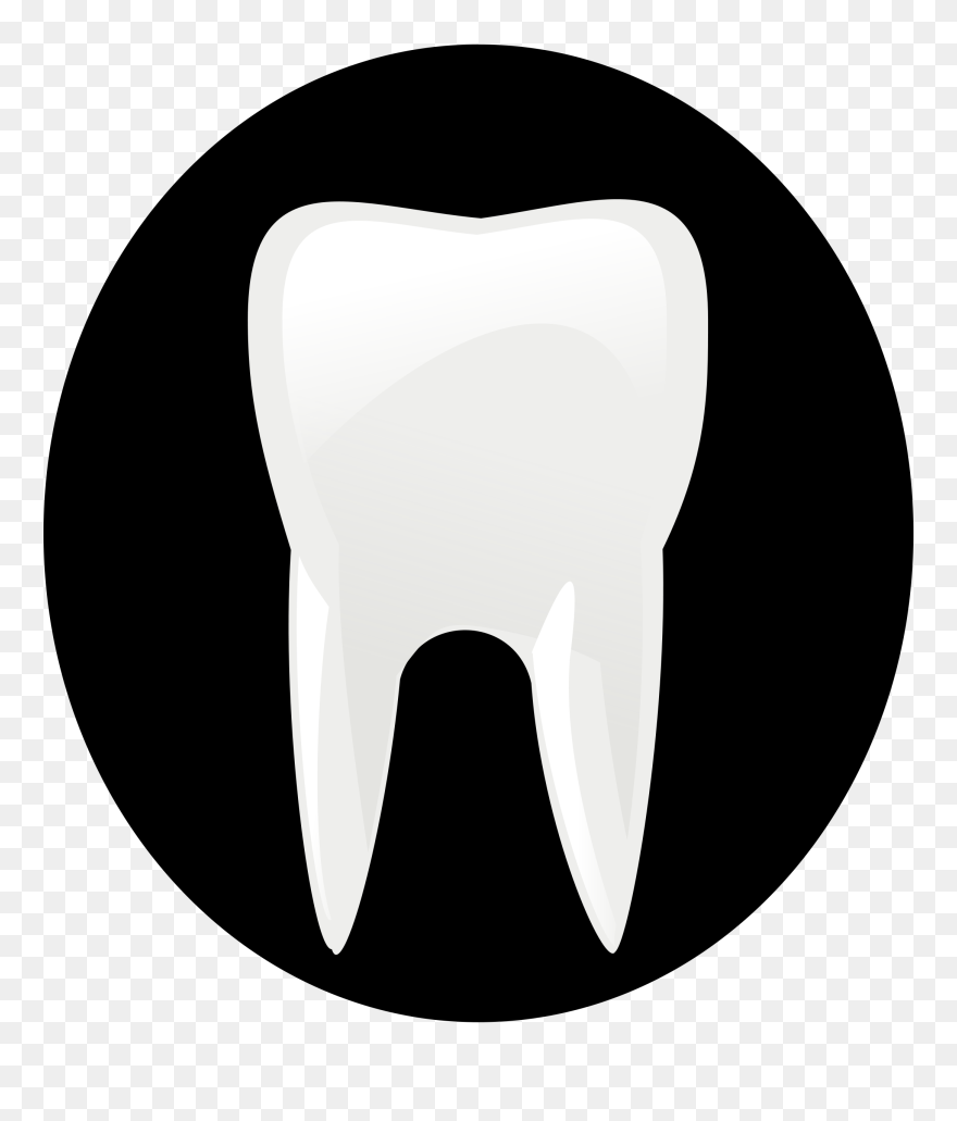 Clipart Info - Molar Clipart - Png Download