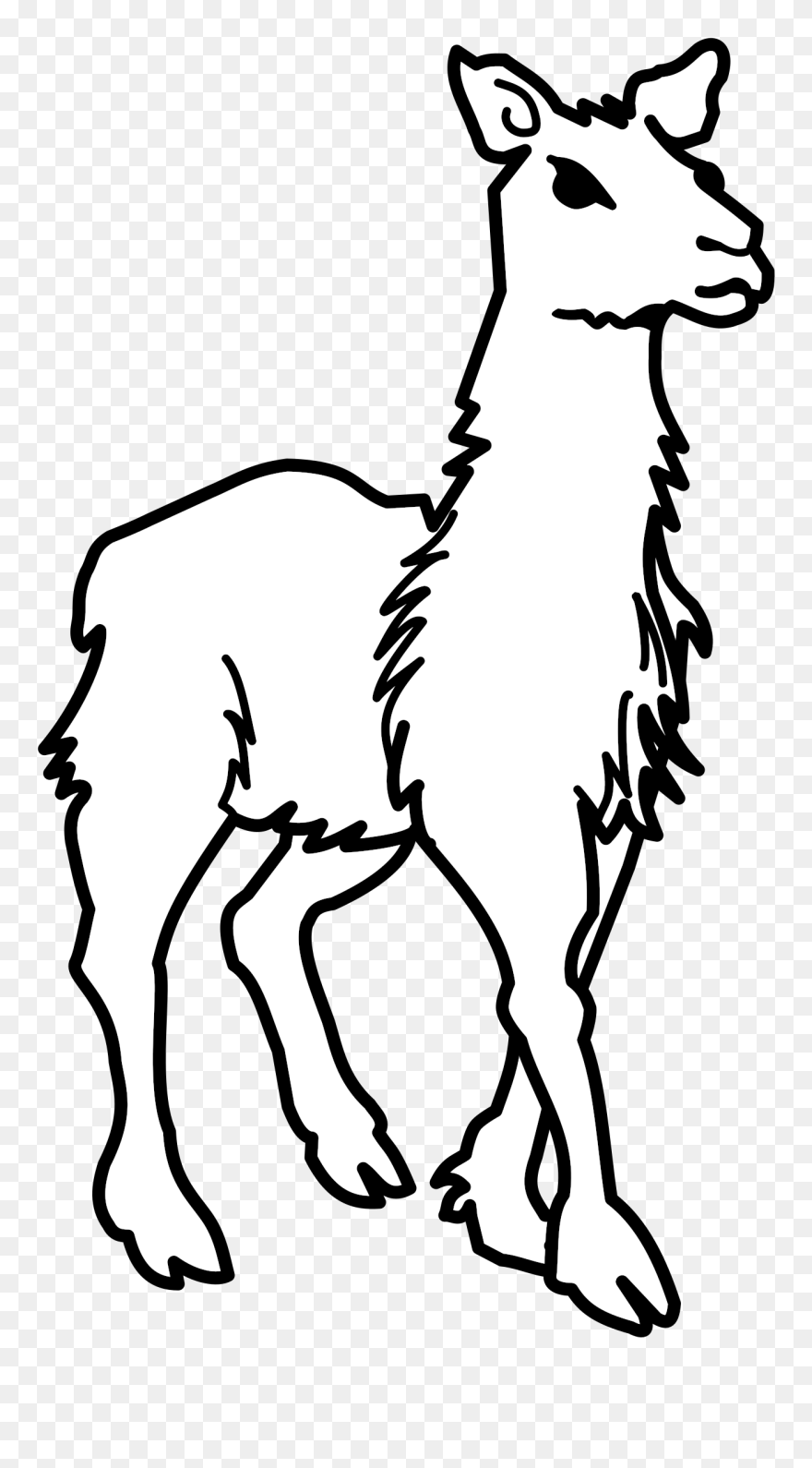 Llama Alpaca Evolution Drawing Computer Icons - Llamas Black And White Clipart - Png Download