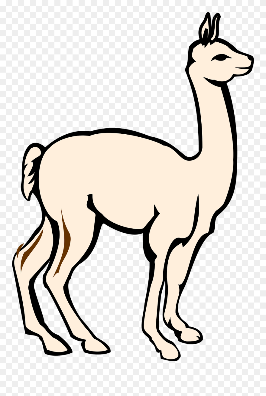 Alpaca Llama Mammal Suzuha Amane Computer Icons - Alpaca Clipart