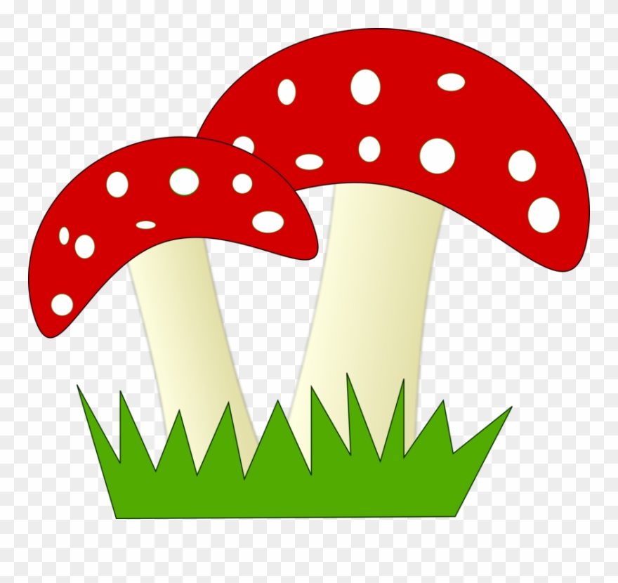 Mushroom Png Clipart Transparent Png