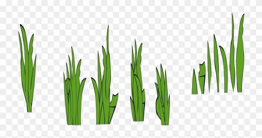 Free Clip Art Grass - Grass Clip Art - Png Download