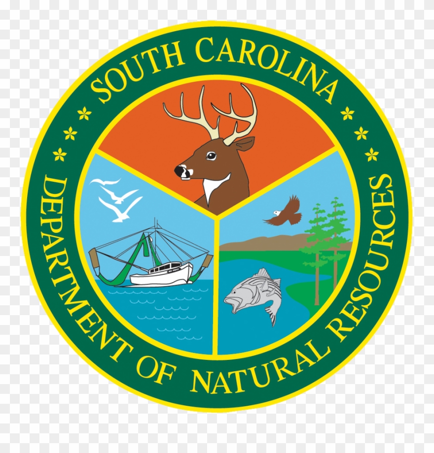 Scdnrlogo - South Carolina Department Of Natural Resources Clipart