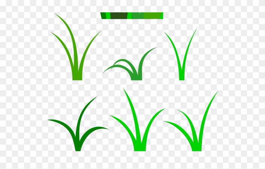Lawn Clipart Tall Grass - Clip Art - Png Download