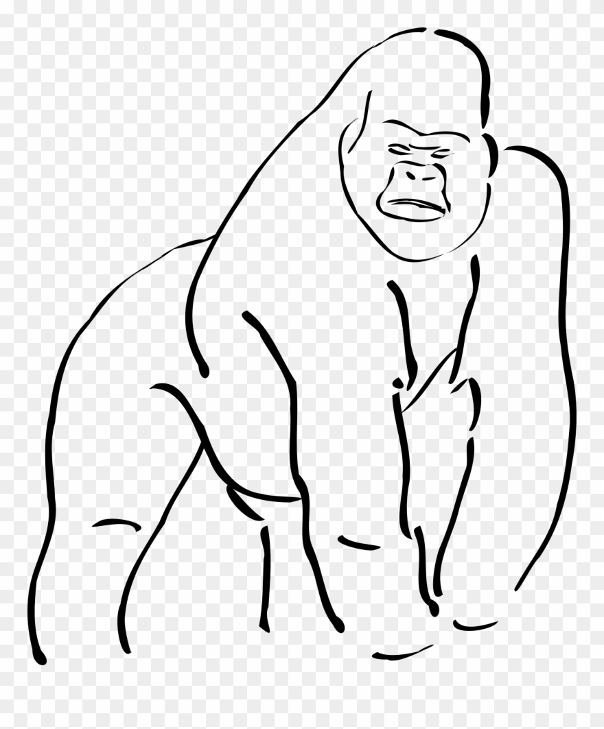 Gorilla Clip Art Black And White - Cross River Gorilla Outline - Png Download