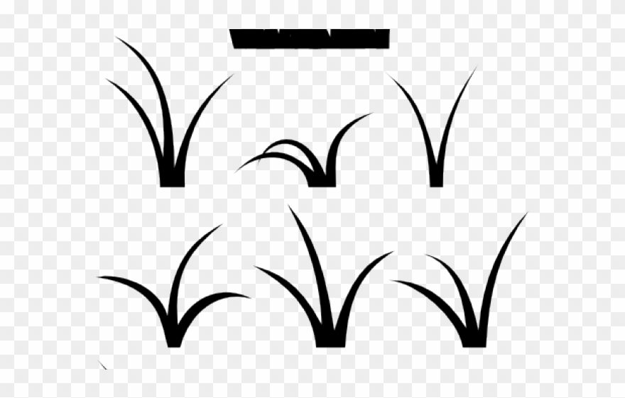 Lawn Clipart Jungle Grass - Clipart Blades Of Grass - Png Download