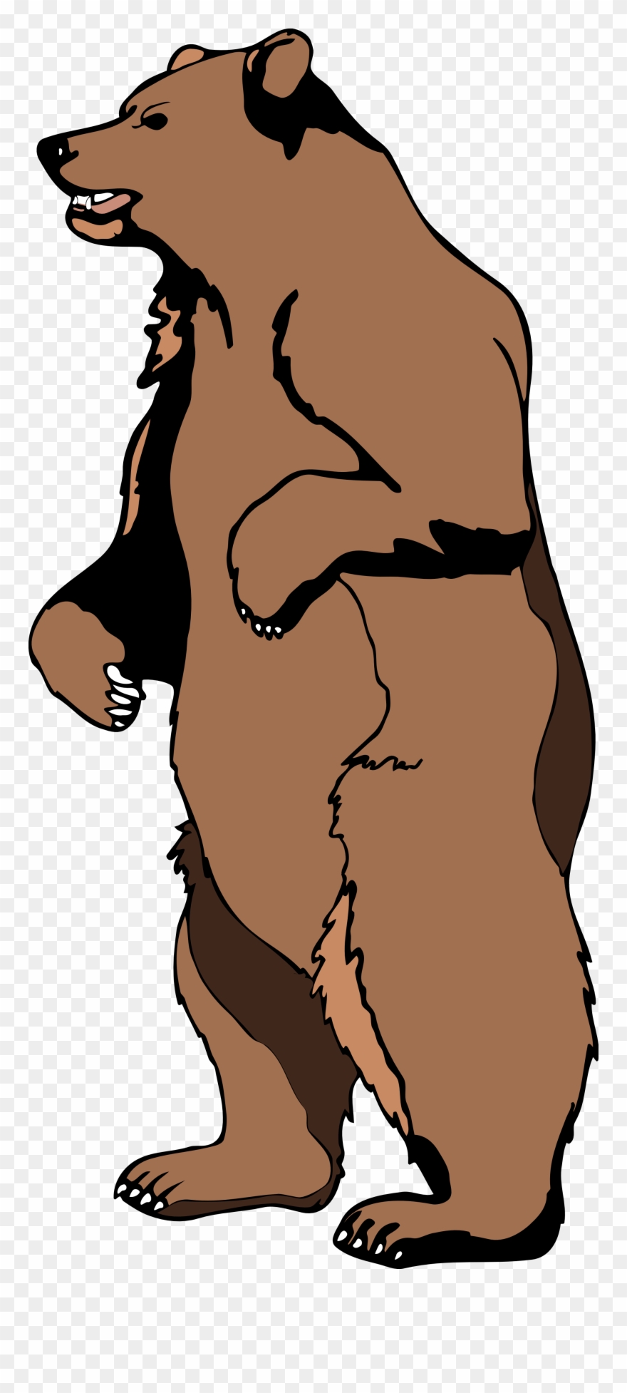 Clip Art Grizzly Bear Clipart Panda - Grizzly Bear Standing Clipart - Png Download