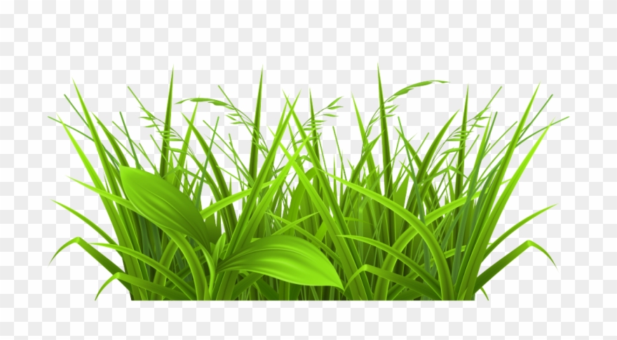 Free Download Grass Images Clip Art 6 Full Size - Grass Clipart - Png Download