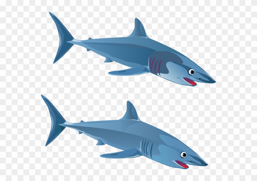 Free Shark Images Download On Clipart Library - Two Sharks Clipart - Png Download